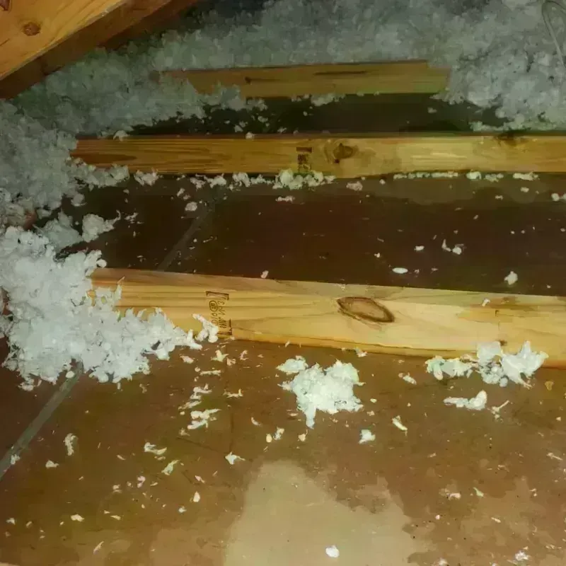 Attic Water Damage in Montague County, TX